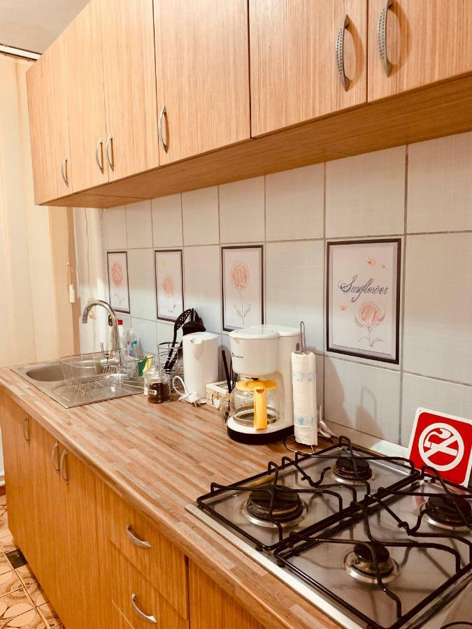 Ultracentral Apartment With All You Need: Wifi, Tv, Ac, Washer, Coffe Тімішоара Екстер'єр фото