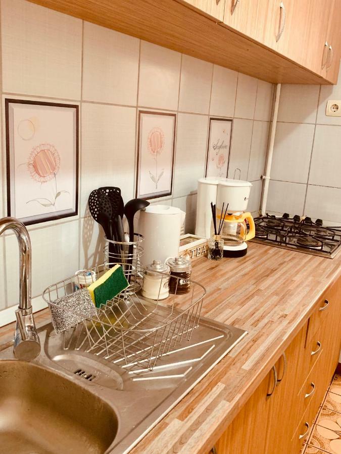 Ultracentral Apartment With All You Need: Wifi, Tv, Ac, Washer, Coffe Тімішоара Екстер'єр фото